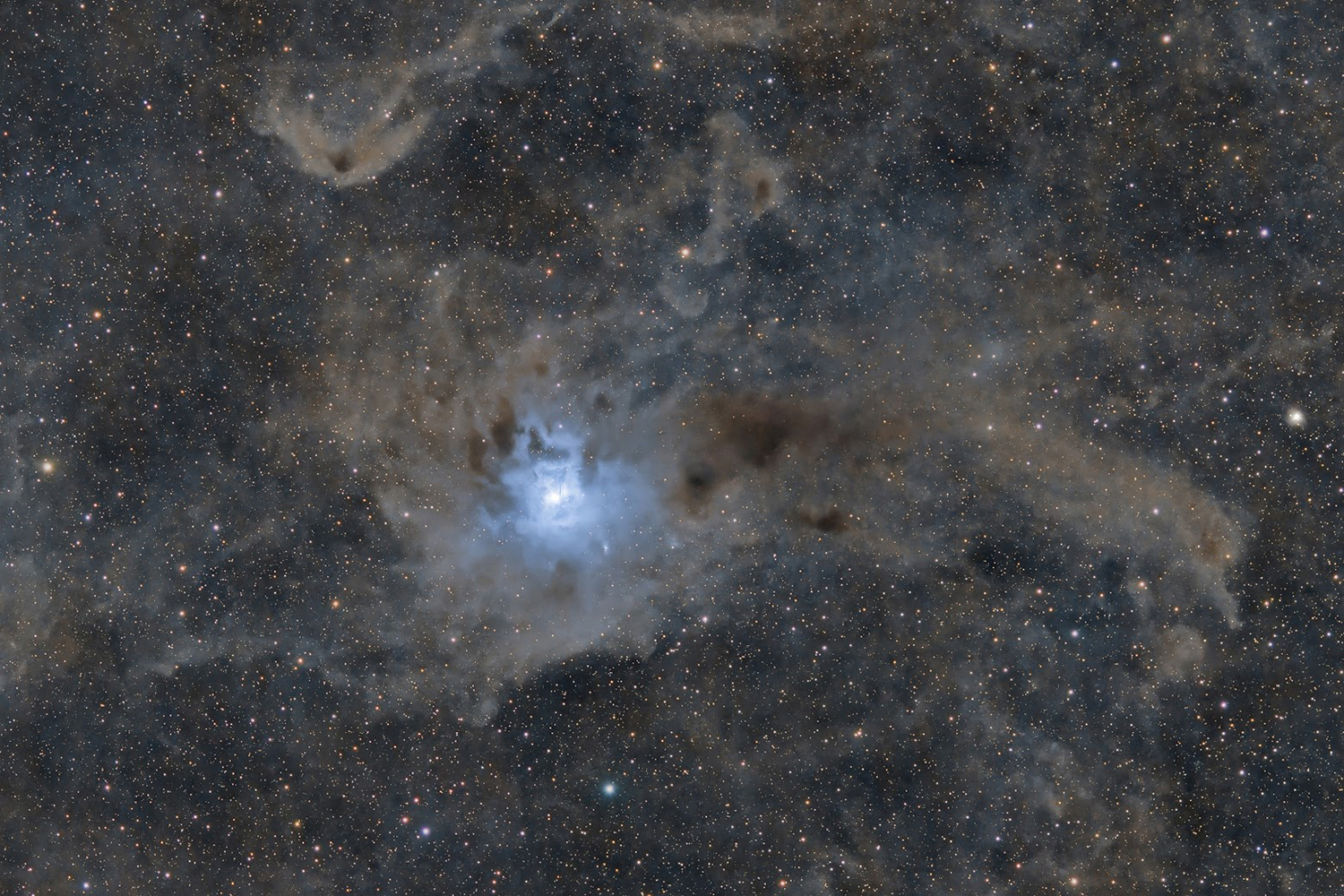 Iris Nebula